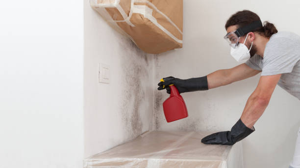 Professional Mold Remediation technician working in Bedford, MA