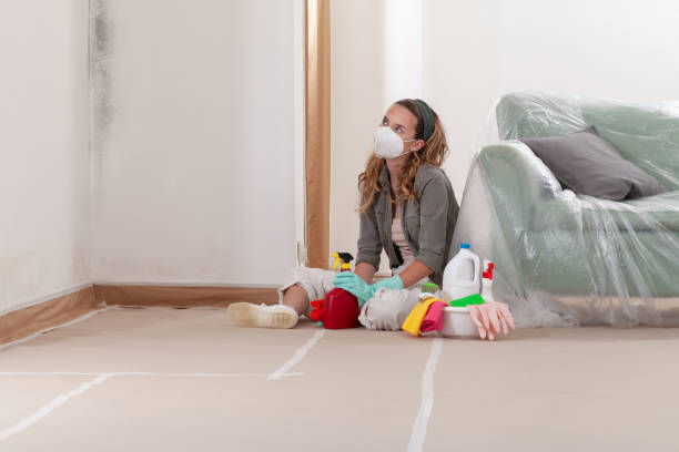 Reliable Mold Remediation contractor in Bedford, MA by WQB Mold Removal